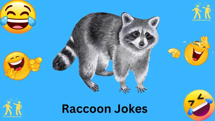 raccoon-jokes