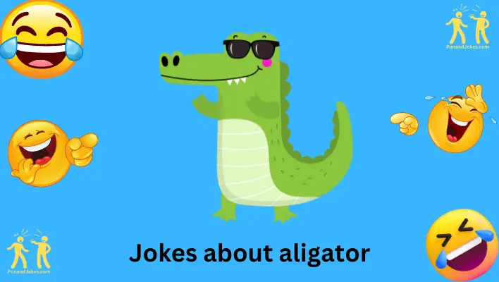 jokes about aligator