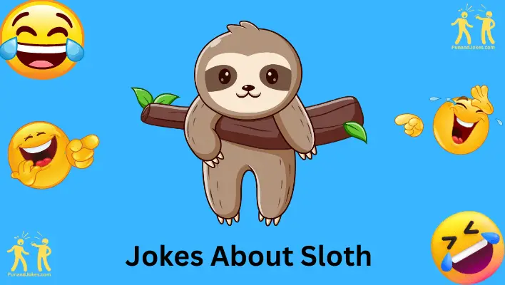 jokes about sloths