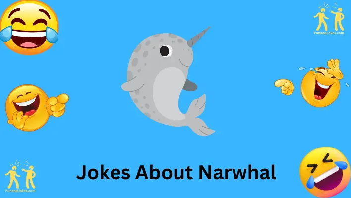 Jokes About Narwhal