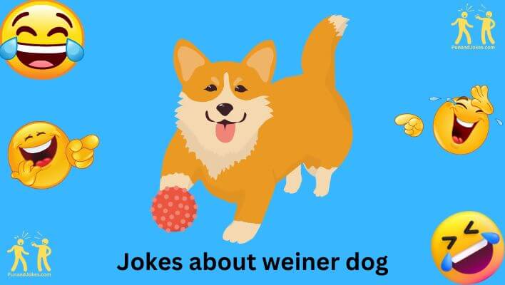 weiner dog jokes