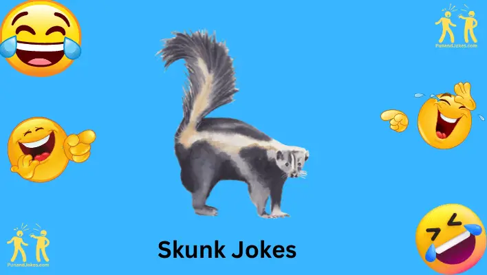 101+ Smelly But Hilarious Skunk Jokes For A Good Laugh!