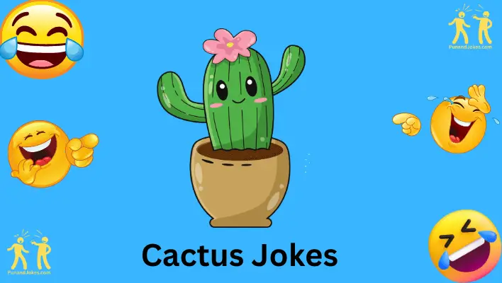 cactus jokes