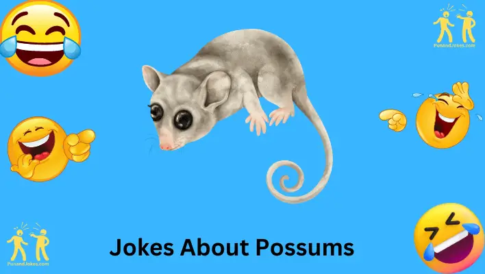 possum-jokes