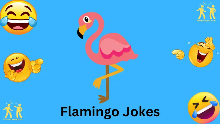 flamingo jokes