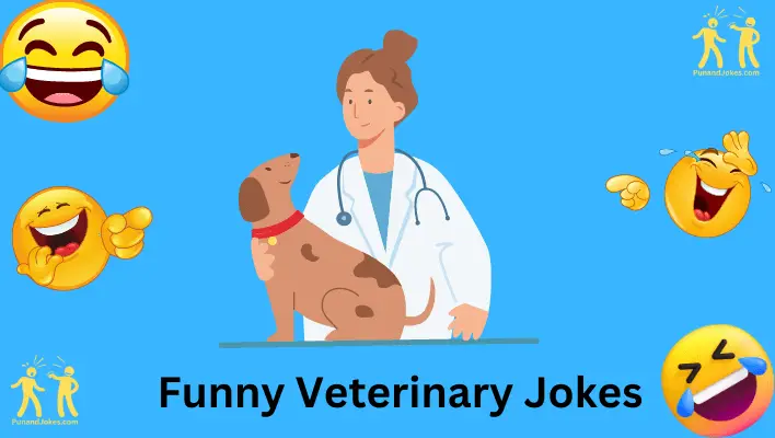 funny veterinary jokes