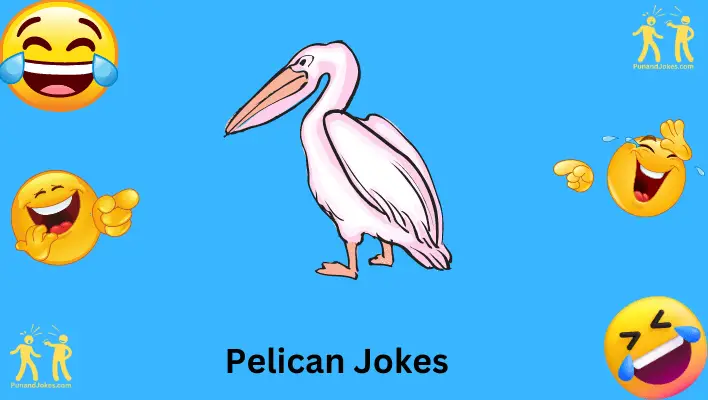 pelican-jokes