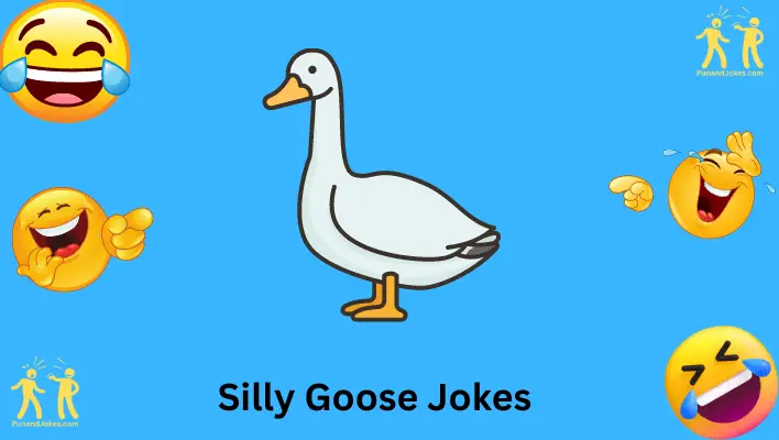 silly-goose-jokes: