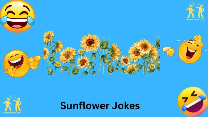 Sunflower Jokes: