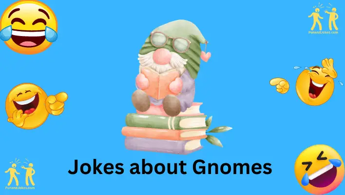 jokes about gnomes