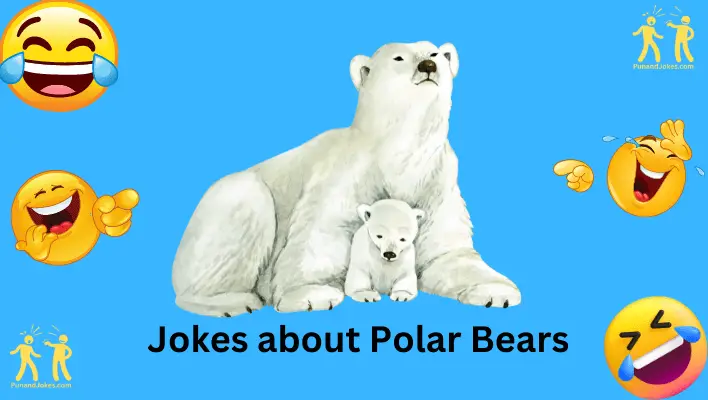 jokes about polar bears