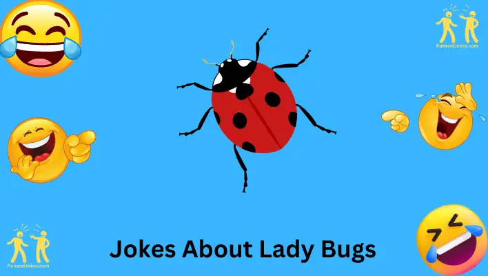 ladybug-themed-jokes