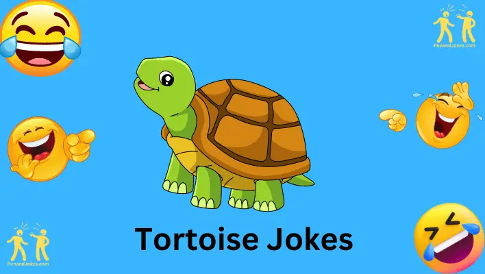 Hilarious 80+ Tortoise Jokes: Slow And Steady Chuckles