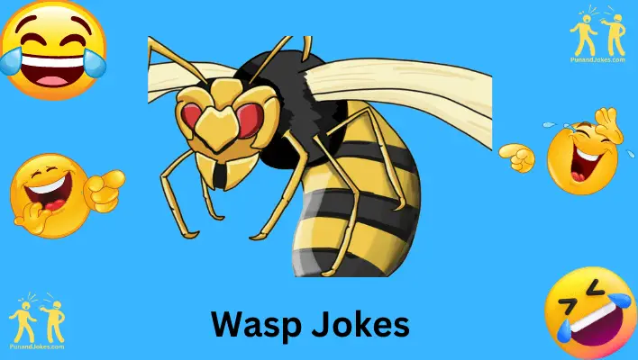 Wasp Jokes