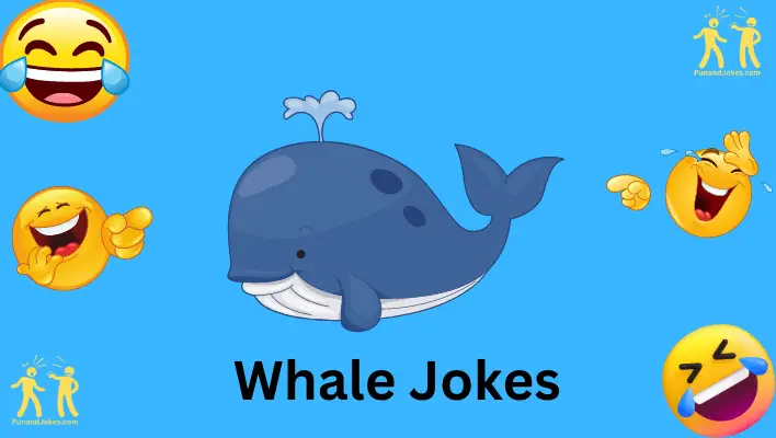 whale jokes