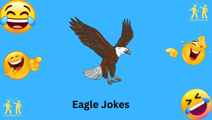 eagle-jokes