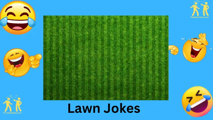 lawn jokes