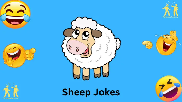 Sheep Jokes: