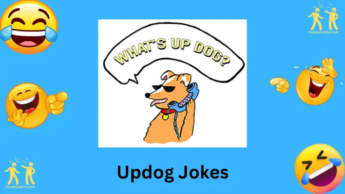 Updog Jokes: