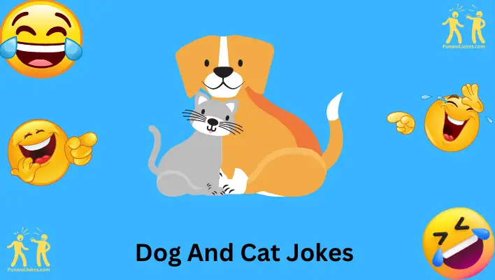 Paws And Whiskers : 77+ Dog And Cat Jokes For Pet Lovers