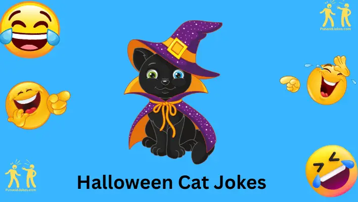 halloween cat jokes