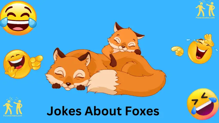 jokes about foxes