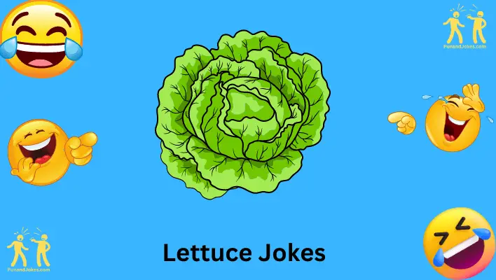 lettuce-jokes