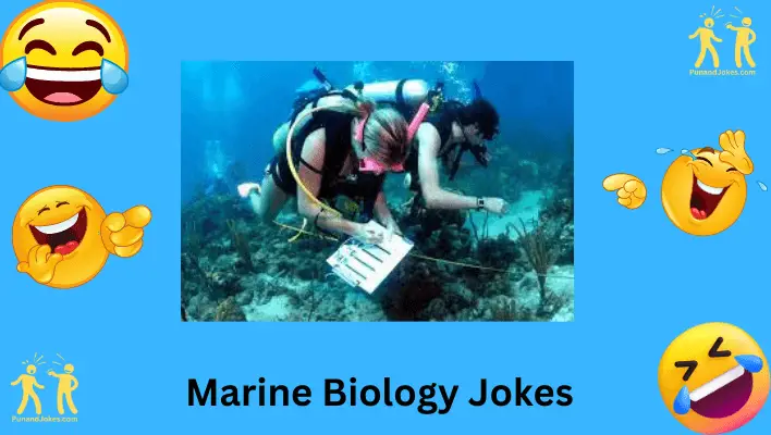 marine-biology-jokes