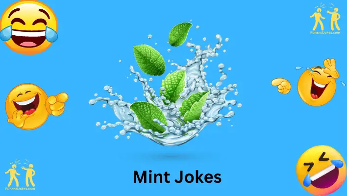 Mint Jokes