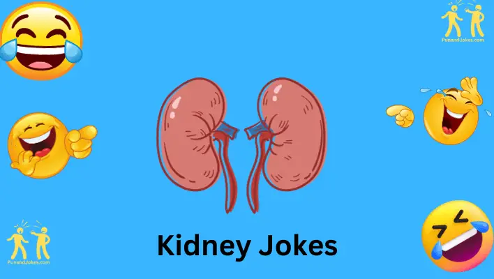 kidney jokes