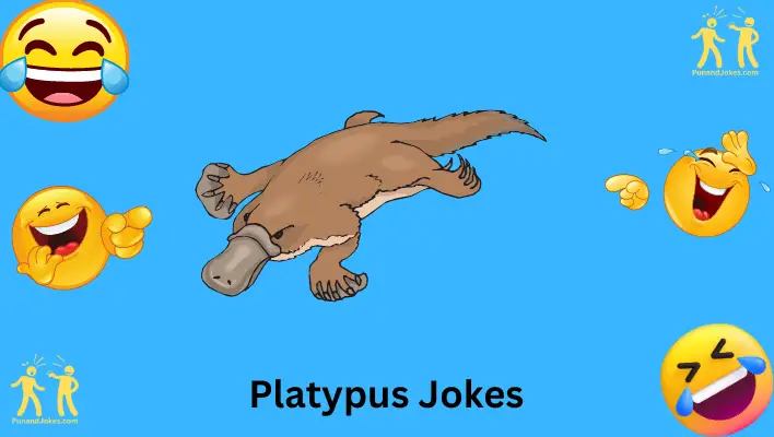 platypus-puns: