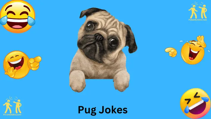 pug-jokes: