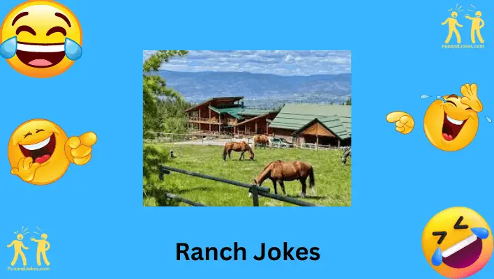 ranch-jokes: