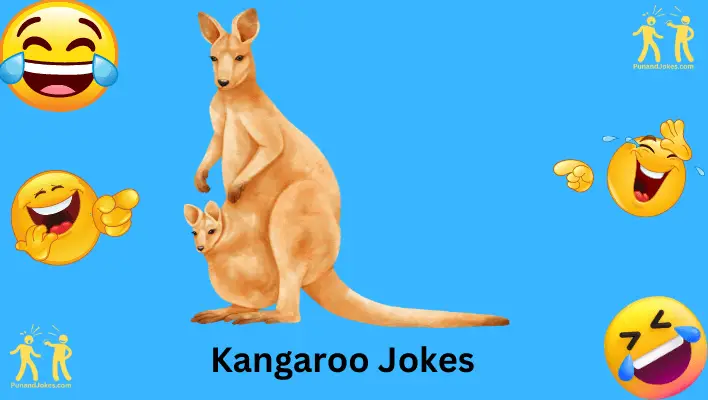 kangaroo-jokes