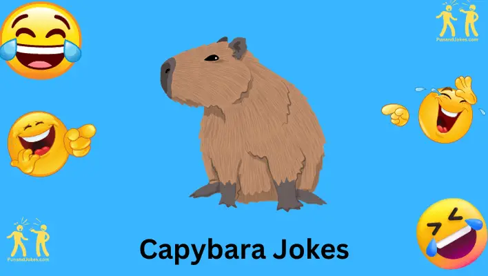 capybara jokes