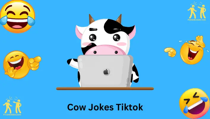 Cow Jokes TikTok