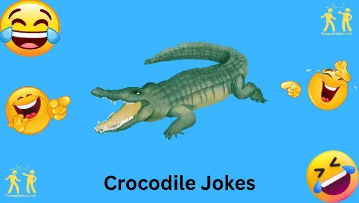 Crocodile Jokes