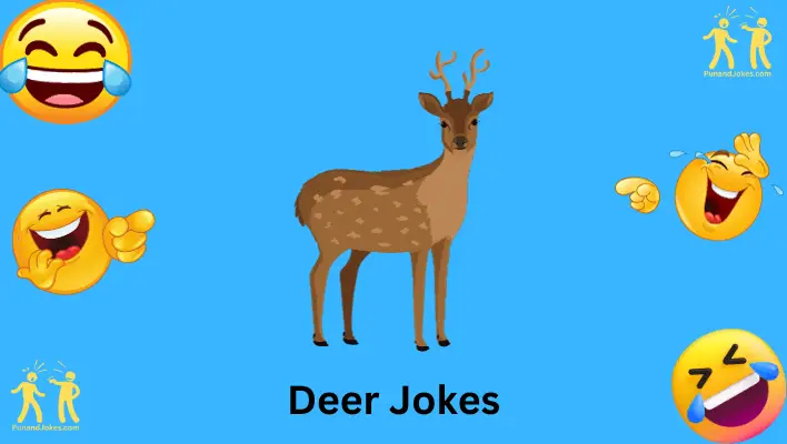 Deer Jokes