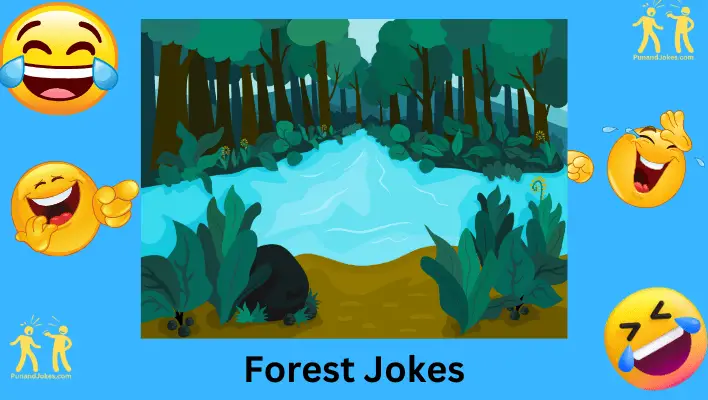Forest Jokes
