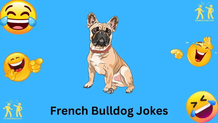 french bulldog jokes