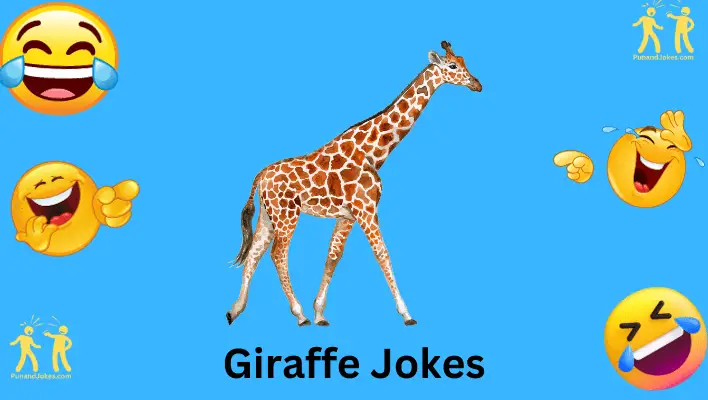 giraffe jokes