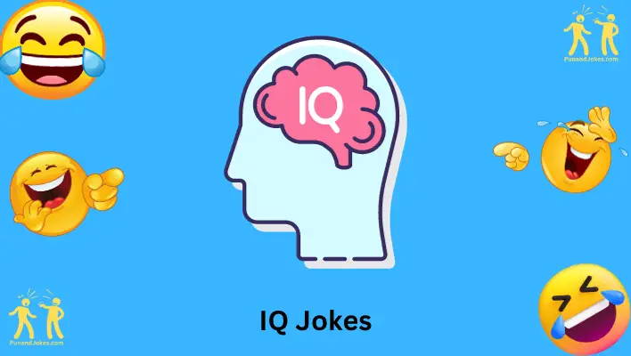 IQ Jokes