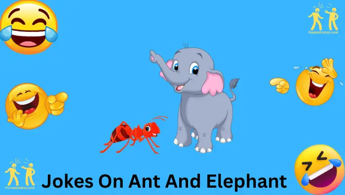 jokes on ant and elephant