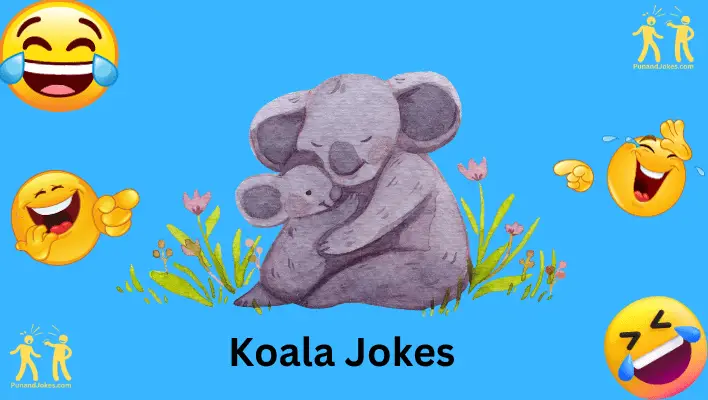 koala jokes