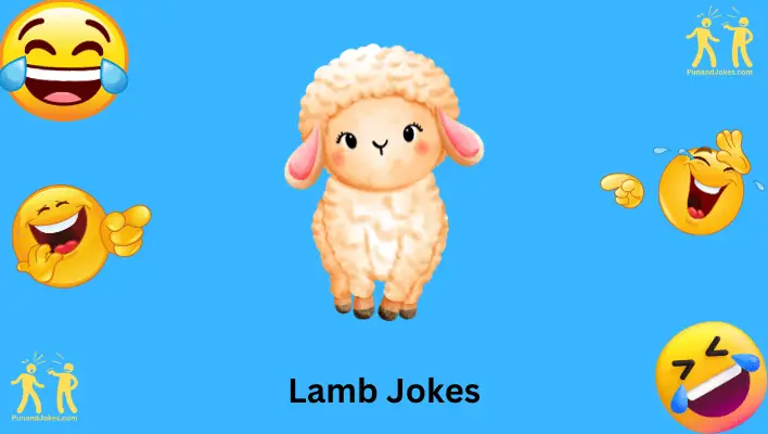 Lamb Jokes