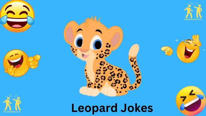 leopard jokes