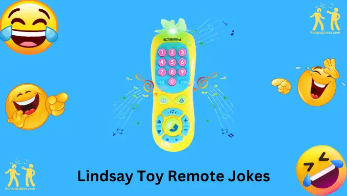 Lindsay's Toy Remote Jokes