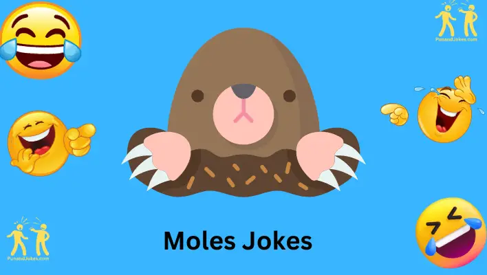 Jokes About Moles