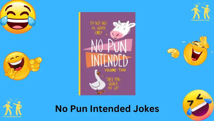 No Pun Intended Jokes