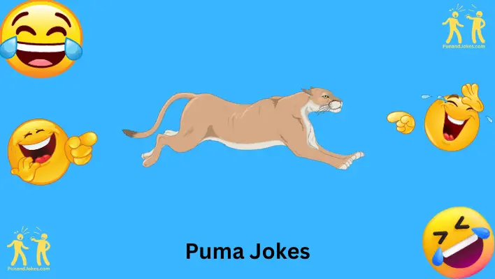 Puma Jokes